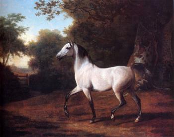 雅尅 勞倫特 阿加斯 一衹灰色的阿拉伯種馬在樹林裡
